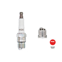 NGK 3856 Spark Plug