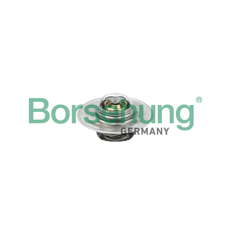 BORSEHUNG B18280 Termostat